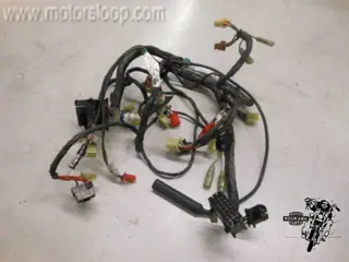 Kawasaki ZG1300(ZGT30A) Audio draadboom