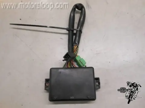 Kawasaki ZG1300(ZGT30A) Control unit dashboard 21175-1009