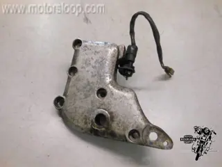 Kawasaki ZG1300(ZGT30A) Schetsplaat rechts 11045-1981