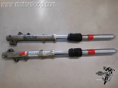 Kawasaki ZG1300(ZGT30A) Voorvorkpoten