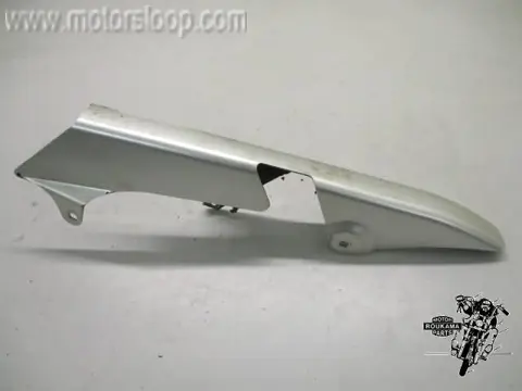 Kawasaki ZR1100 Kettingscherm