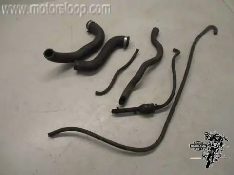 Kawasaki ZRX1200S Slangen