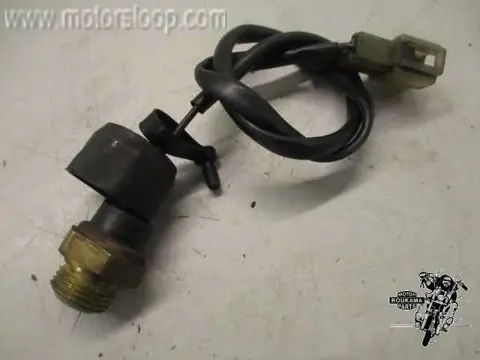 Kawasaki ZRX1200S Thermostatische schakelaar