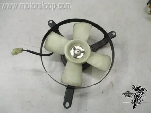 Kawasaki ZX-10(ZXT00B) Koelvin