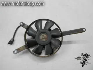 Kawasaki ZX-6R(ZX600JJ) Koelvin