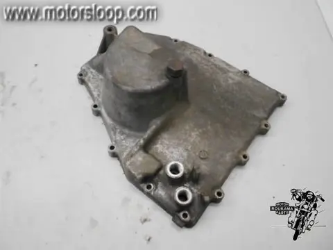 Kawasaki ZX-6R(ZX600F) Carterpan