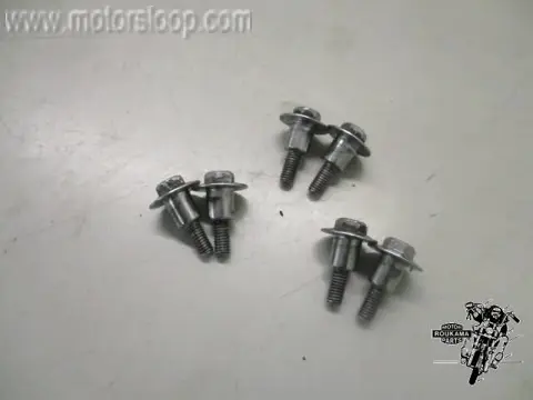 Kawasaki ZX-9R Klepdekselbouten (6)