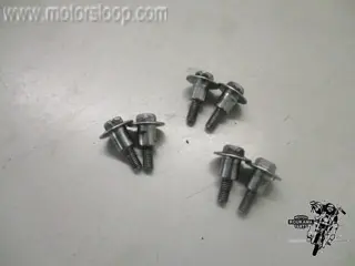 Kawasaki ZX-9R Klepdekselbouten (6)