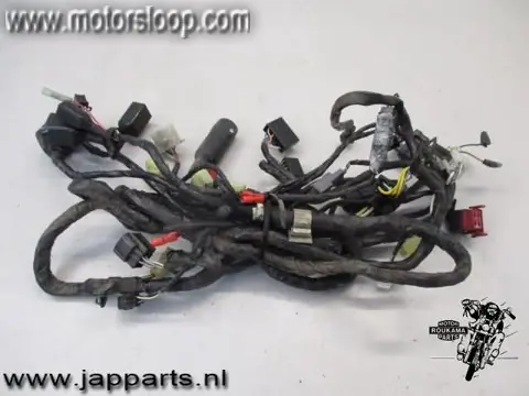 Kawasaki ZX-9R(ZX900E) Draadboom