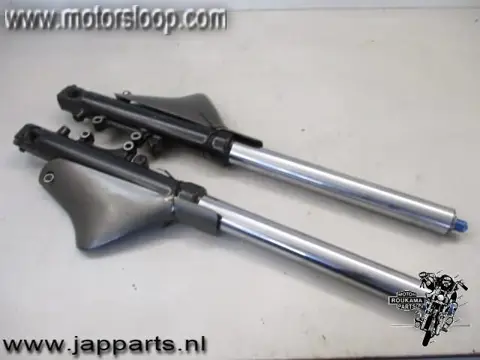 Kawasaki ZX-9R(ZX900E) Vorkpoten