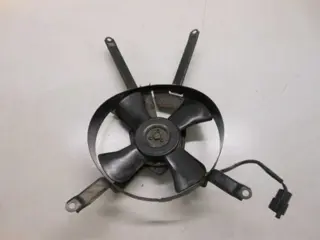 Kawasaki ZXR750(ZX750L) Koelvin