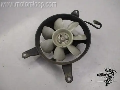 Kawasaki ZXR750H Koelvin