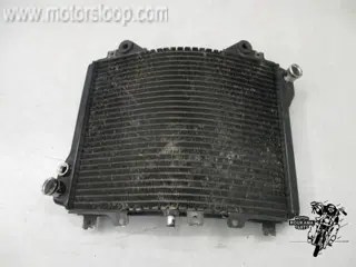 Kawasaki ZZR1100C Radiateur