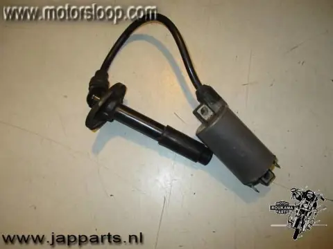 Kawasaki ZZR250(EX250) Bobine