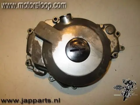 Kawasaki ZZR250(EX250) Dynamokap