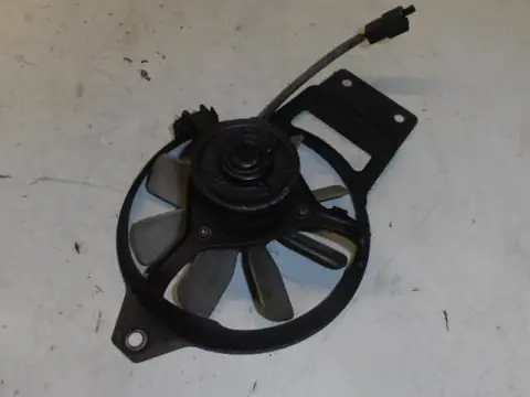 Kawasaki ZZR250(EX250) Koelvin 59502-1066