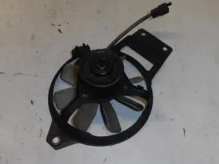 Kawasaki ZZR250(EX250) Koelvin 59502-1066