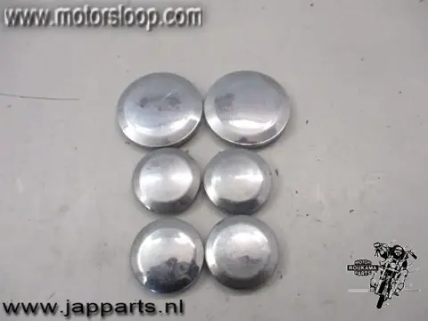 Kawasaki ZZR600D Frame dopjes