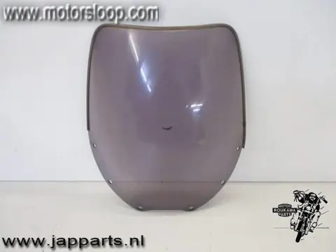 Kawasaki ZZR600D Kuipruit smoke