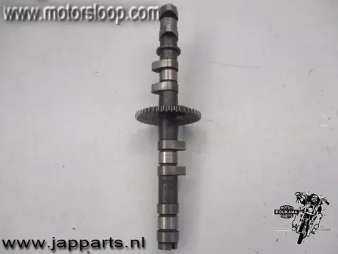 Kawasaki ZZR600E Nokkenas inlaat