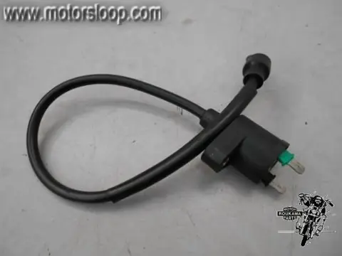 Kymco Like 125(LC2D20) Bobine