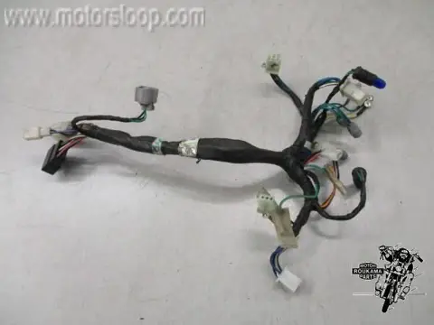 Kymco S200SI(D120) Draadboom van tellerset