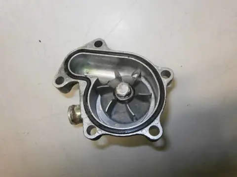 Suzuki AN400 Waterpomp