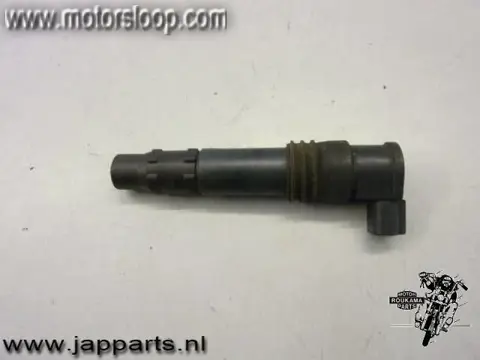 Suzuki AN650(BU1321) Bobine