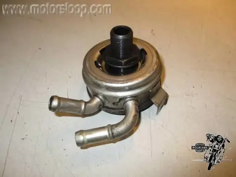 Suzuki AN650(BU1321) Cooler assy oil