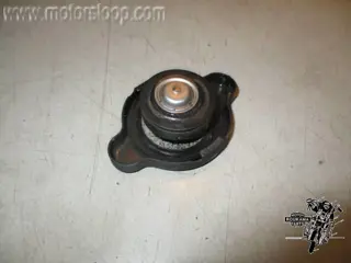 Suzuki AN650(BU1321) Radiatordop