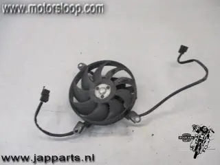 Suzuki DL1000(BS1111) Koelvin