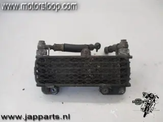 Suzuki DL1000(BS1111) Oliekoeler met leidingen