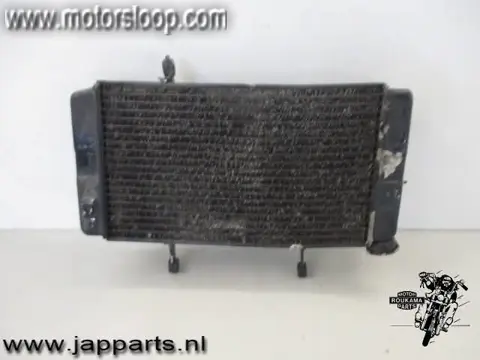Suzuki DL1000(BS1111) Radiateur