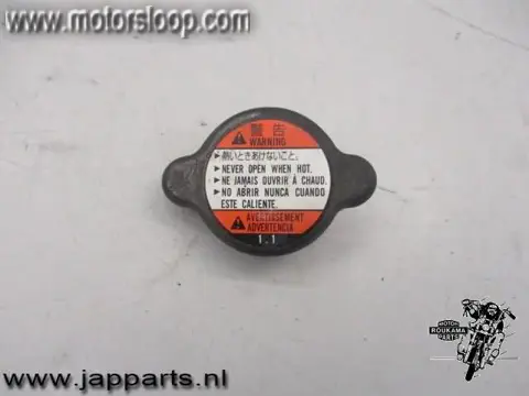 Suzuki DL1000(BS1111) Radiateurdop