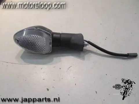 Suzuki DL1000(DD1111) Knipperlicht