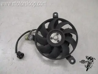 Suzuki DL650(B1111) Koelvin