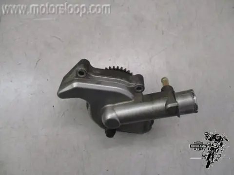 Suzuki DL650(B1111) Waterpomp