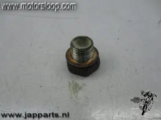 Suzuki GS500E Olieaftapplug