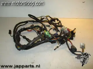 Suzuki GSF600(GN77) Draadboom