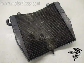 Suzuki RF900R Radiateur