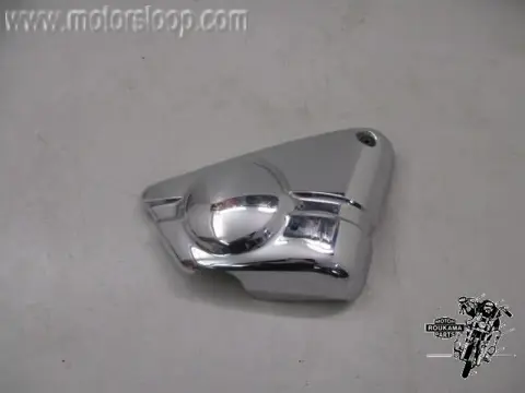 Suzuki VZ800(AF1112) Zijkap rechts