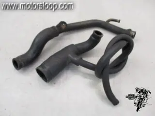 Triumph Sprint 900(T300A) Koelslangen