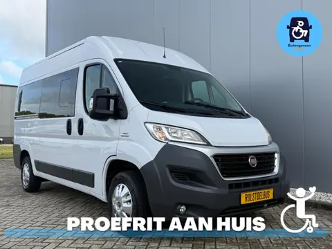 Fiat Ducato Rolstoelbus L2H2 (Airco) Tillift