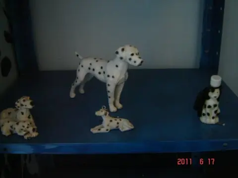 Dalmatier verzameling