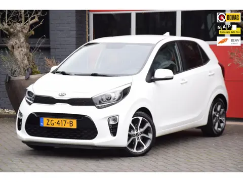 Kia Picanto 1.0 CVVT Design Edition 2019 Navigator Navigatie 5 Deur Airco Cruise control Carplay