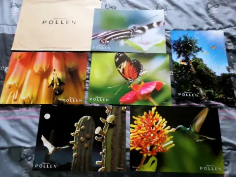 Disneynature : Wings of Life( POLLEN ) lobbycard set.