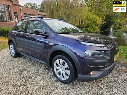 Citroen C4 Cactus 1.2 PureTech Business AUTOMAAT