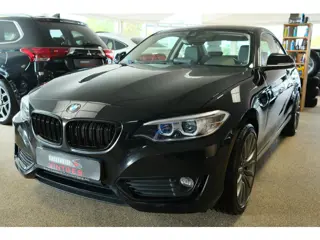 BMW 2 Serie Coupé 220i High Executive Navi, H/leder, PDC, Clima, 18"inch!