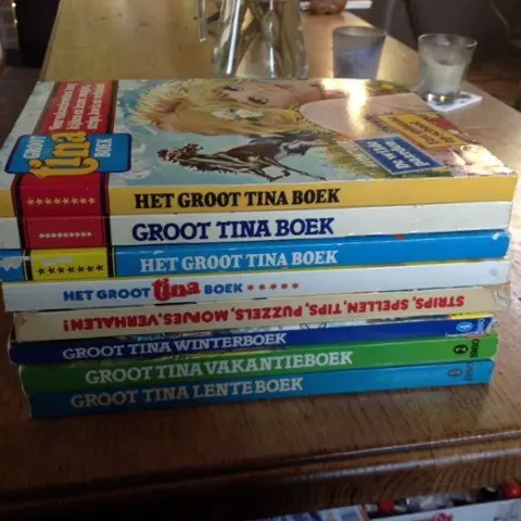 Groot tina boek