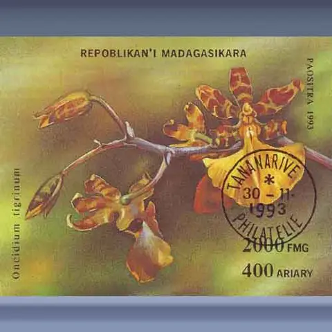 Orchidee&euml;n (1993)